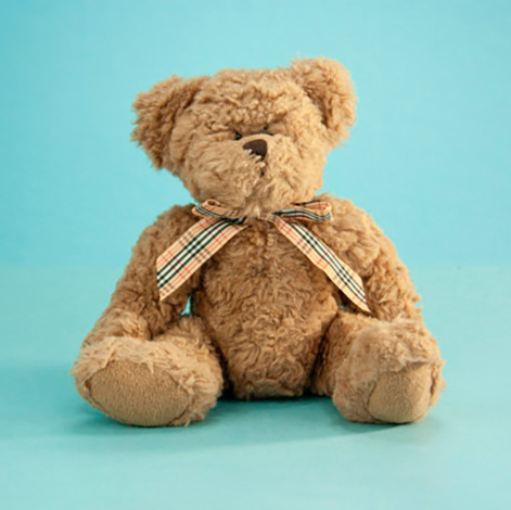 Teddy Bear with checkered ribbon